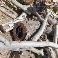 ذغال تخته کبابی