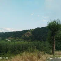 استخدام کارگر ساده