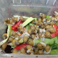 حلزون|خزنده|شیراز, بازار|دیوار