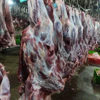 چرخ‌کرده مخلوط