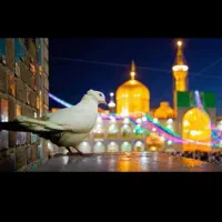 تور مشهد 5روزه