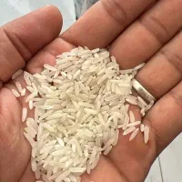 فروش برنج تایلندی