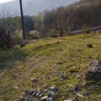 فروش فوری قطعه زمین باغی ۵۰۰متری منطقه بکر اطاقور|فروش زمین و ملک کلنگی|اطاقور, |دیوار