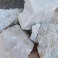 بنتونیت وسیلس