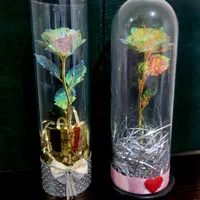 گل رزطلایی داخل استوانه