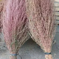 جارو خانگی