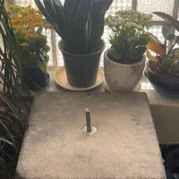 پایه پرچم ساحلی