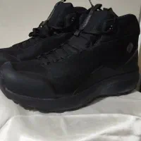 کتونی زمستانی هامتو