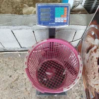 وسایل مرغی کامل