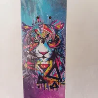 اسکیت برد