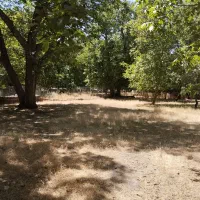 مزایده زمین باغی(فقیره)