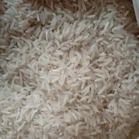 برنج فجر سوزنی امساله خوش عطر حکیم آباد