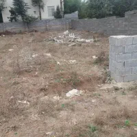 کلنو جاده سلامت ۳۱۲متر مسکونی باسند زیر قیمت|فروش زمین و ملک کلنگی|کلاردشت, |دیوار