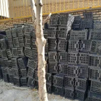 فروش سبد۱۴کیلویی جا سیب و گوجه درحدنوقیمت مناسب|عمده‌فروشی|بروجرد, |دیوار