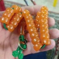 کهربا آلمان حشره دار