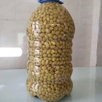 غوره شور ،آبغوره، سرکه ، آبلیمو|خوردنی و آشامیدنی|تهران, دردشت|دیوار