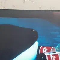 تلویزیون ۶۵ اینچ اسنو اکبند شکسته