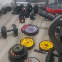 وزنه هالتر الپتیکال تردمیل|تجهیزات ورزشی|فردیس, نگارستان|دیوار