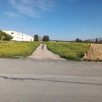 زمین بر آسفالت ابادشاپور