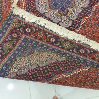 فرش دستباف|فرش|اردبیل, |دیوار