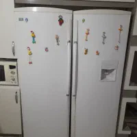 یخچال و فریزر الکترو استیل