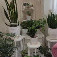 پیشه ومهارت|خدمات پیشه و مهارت|مشهد, گاز|دیوار