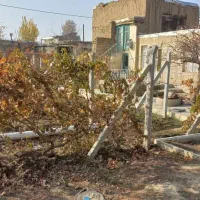 خانه و ویلا