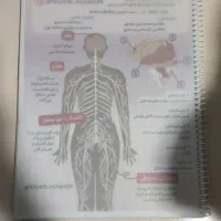 جزوه زیست یازدهم تجربی