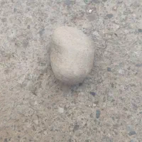 نه نوع سنگ زیبا|کلکسیون اشیاء عتیقه|سقز, |دیوار