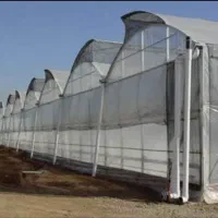 هوشمندانه گلخانه بسازید