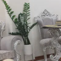 نبرد شمالی جعفرنژاد ۴۰ متری