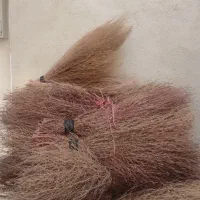 جارو محلی نو