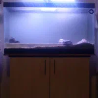 اکواریوم یک متری شیشه خم شرکتی زیر قیمت