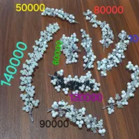 انواع ریسه سر