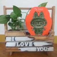 ست باکس گل طبیعی مناسب روز مادر|گل و گیاه طبیعی|ساری, |دیوار