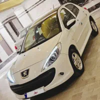 ۲۰۷ پانا ارتقا یافته  ۱۴۰۳