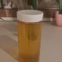 عسل اصل ب شرط با خواص درمانی برای معده 1کیلو