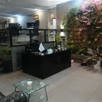 استخدام مشاور املاک|استخدام بازاریابی و فروش|تهران, حصار بوعلی|دیوار