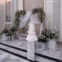 استخدام نیروی مهماندار