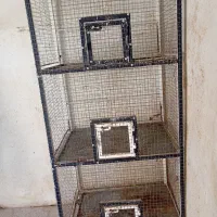 قفس جفتگاه پرنده|لوازم جانبی حیوانات|جهرم, |دیوار