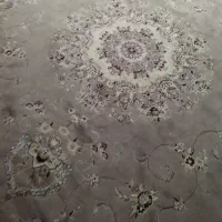 دوعددفرش گردویی فقط وفقط4میلیون|فرش|مینودشت, |دیوار