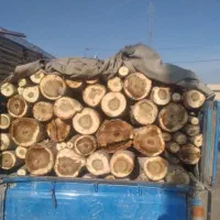 خریدار انواع چوب