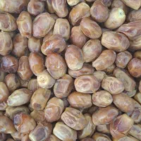 خرمای ذاهدی فرد اعلا|خوردنی و آشامیدنی|قم, وادی السلام|دیوار