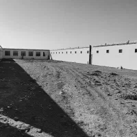 مرغداری-اجاره-وفروشی