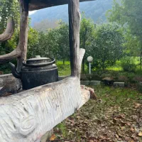 فروش ویلا باغ ۱۲۰۰متری زیر جنگل