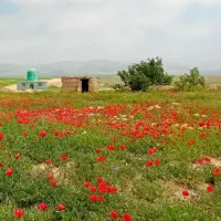 نصب داربست با لوازم شما چکی. متری