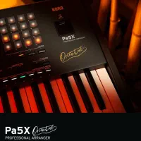 korg pa5 or 76|پیانو، کیبورد، آکاردئون|شیراز, دلجو|دیوار