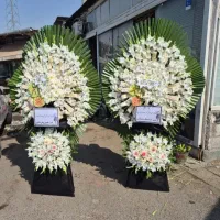 تاج های ترحیم تبریک افتتاحیه نمایشگاهی|خدمات پذیرایی، مراسم|کرج, گلشهر|دیوار