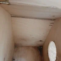 لانه چوبی پرنده|لوازم جانبی حیوانات|شاهینشهر, حافظ شمالی|دیوار