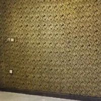 همخونه-می-خوام-فقط-خانم